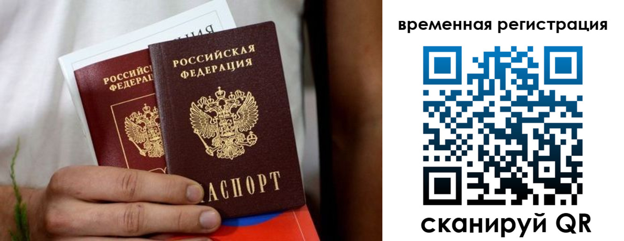 прописка паспорт в Светлогорске