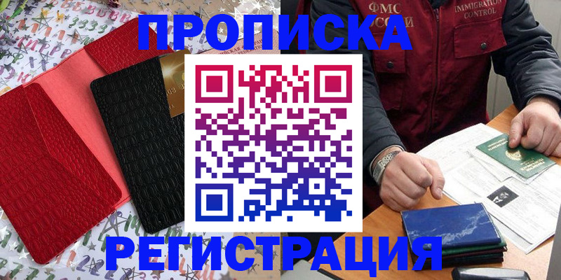 прописка штамп в Светлогорске